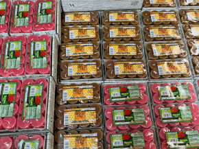 Ventas Velas al por mayor en Velas y Aromas