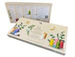 calendário do advento esotérico com velas