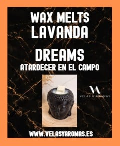Wax Melts Lavanda Dreams